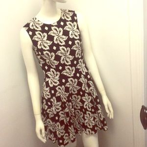 DVF Jeanie cotton fit and flare in 2 black/white